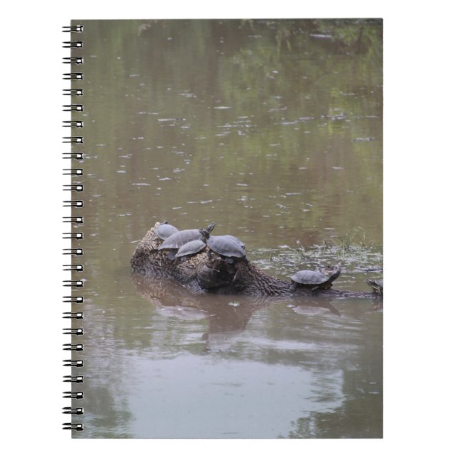 Carnet Tortues (Devant)