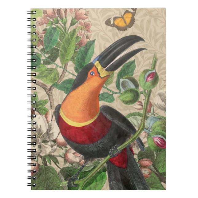 Carnet Toucan Jungle Tropical Bird Belle antique (Devant)