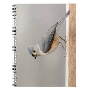 Carnet Touffé