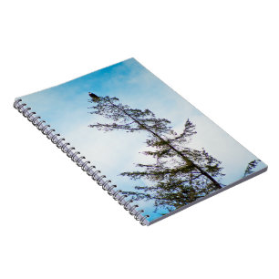 Carnet Tour de guet