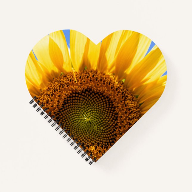 Carnet tourbillon de tournesol (Devant)