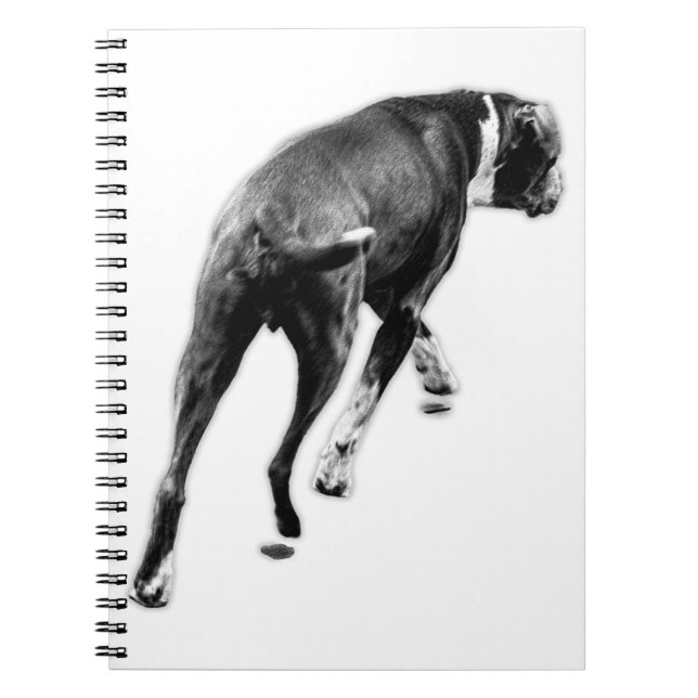 Carnet Tourner les pensées - Étude monochrome pour animau (Devant)