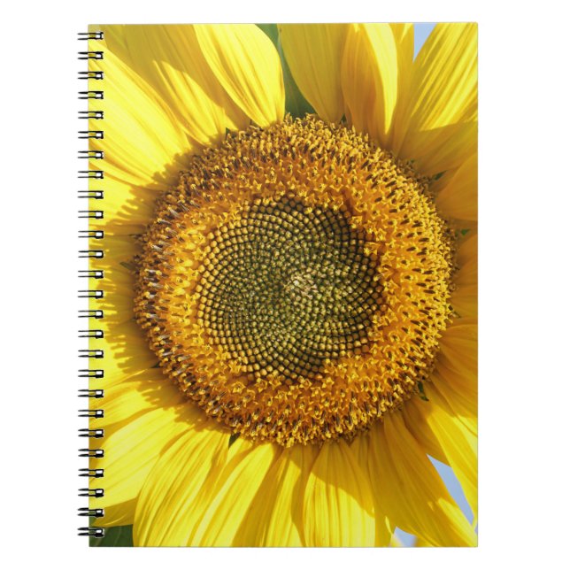 Carnet tournesol (Devant)