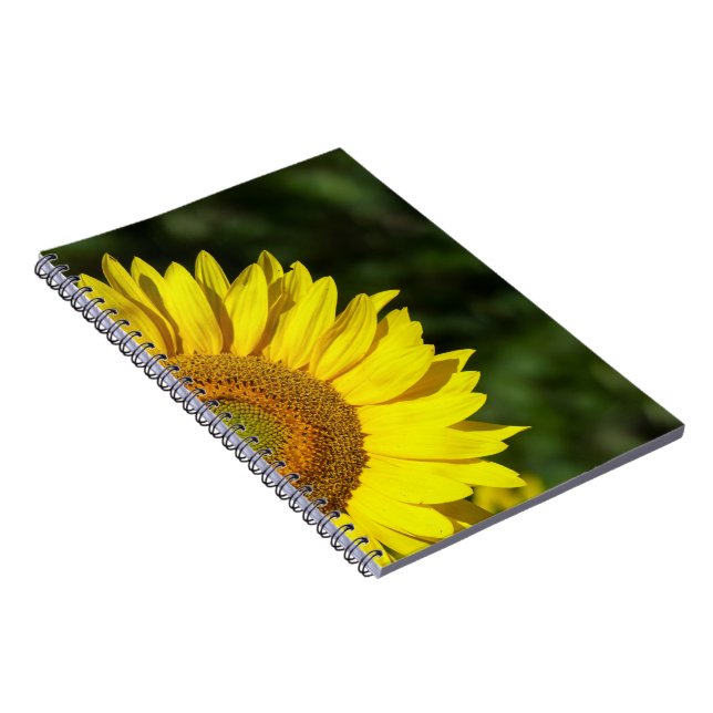 Carnet Tournesol (Côté Droit)