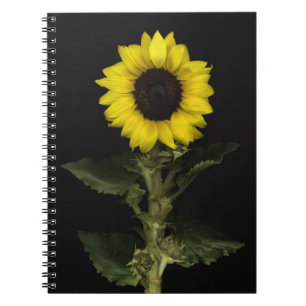 Carnet Tournesol 11