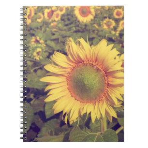 Carnet Tournesol avec effet filtre style vintage rétro