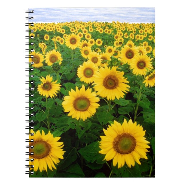 Carnet Tournesols (Devant)