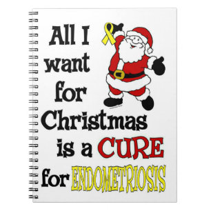 Carnet Tout Ce Que Je Veux Pour Noël...Endometriose