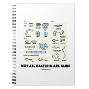 Carnet Toutes Les Bactéries Ne Sont Pas Comme La Morphol