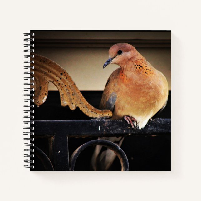 Carnet Tranquillité (Devant)