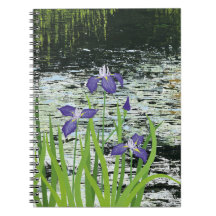 carnet "Tranquillité" Iris violet