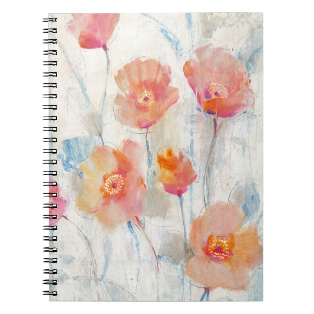 Carnet Translucide II (Devant)