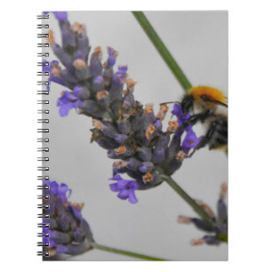 Carnet Travailleurs Merveilleux de la Nature
