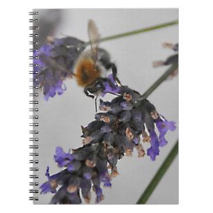 Carnet Travailleurs Merveilleux de la Nature