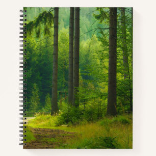 Carnet Traversée magique de forêt verte arbres brouillard