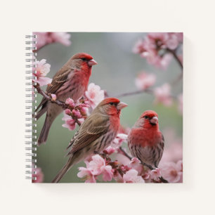 Carnet "Trio cramoisi : Pinsons rouges parmi les fleurs r