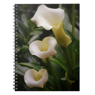 Carnet Trois Calla Lily Flowers du jardin de Gertie
