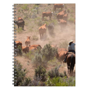 Carnet Trois cow-boys et cow-girls conduisant du bétail
