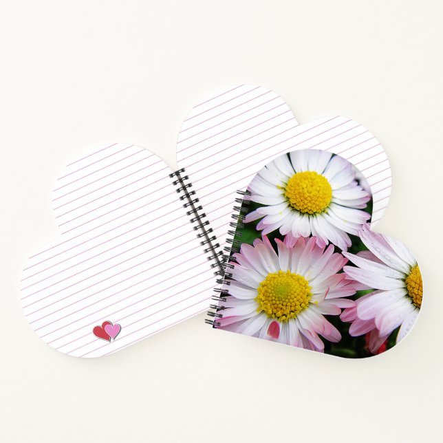 Carnet Trois marguerites rose et blanc (Intérieur)