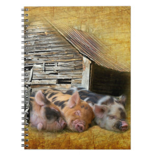 Carnet Trois Petits Cochons À La Grange Rustique Snoozing