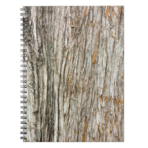 Carnet Tronc d'arbre