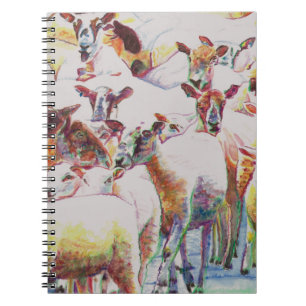 Carnet Troupeau 2011