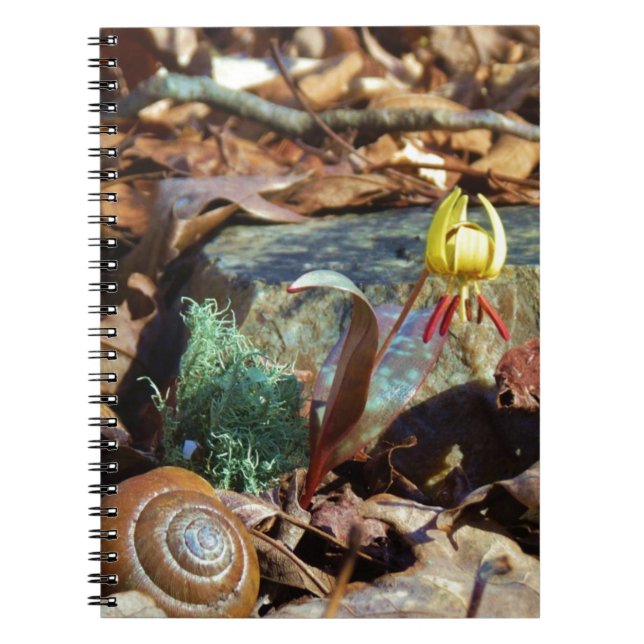 Carnet Truite jaune et prune Lily et Coquille d'escargot (Devant)