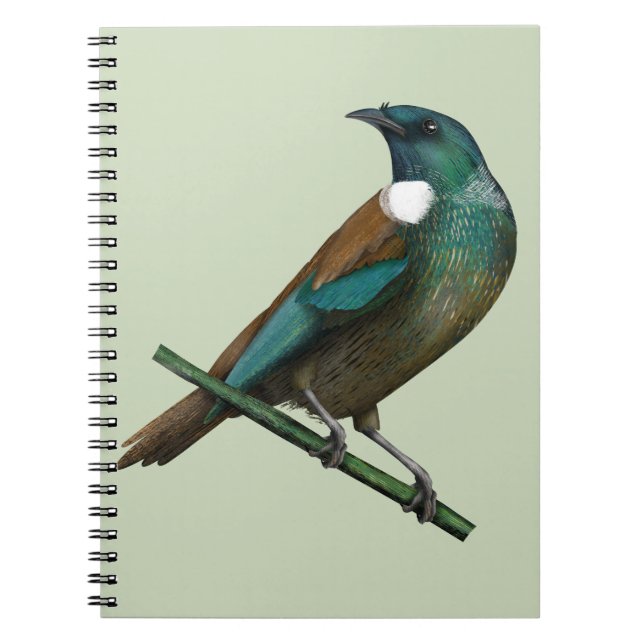 Carnet Tui New Zealands Bird (Devant)
