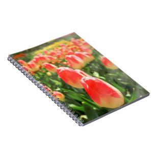 Carnet Tulip Heaven
