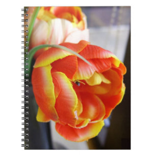 Carnet Tulipe de soie