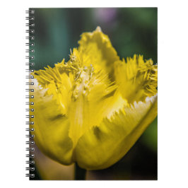 Carnet Tulipe jaune