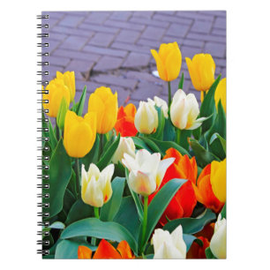 Carnet Tulipes