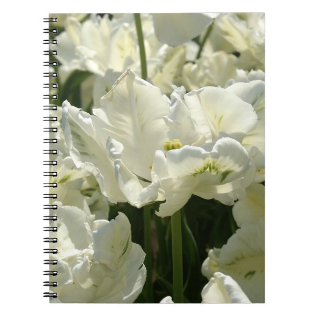 Carnet Tulipes blanches (Devant)