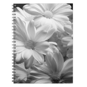 Carnet Tulipes dans les jardins de Keukenhof, Hollande. 2