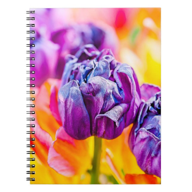 Carnet Tulipes Enchanter 14 (Devant)