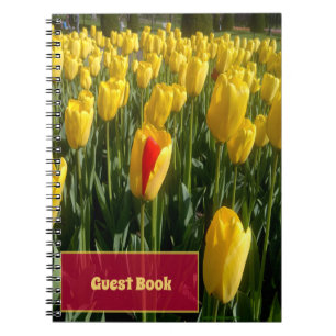Carnet Tulipes jaunes