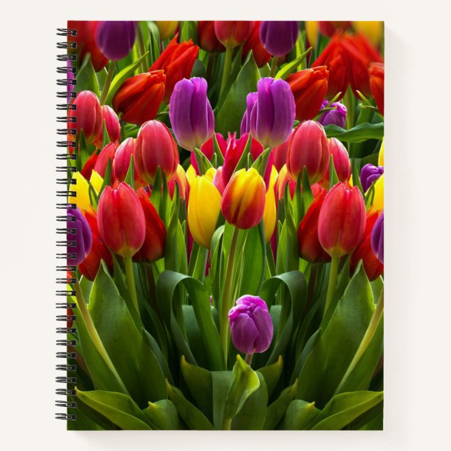 Carnet Tulipes lumineuses (Devant)