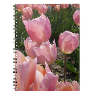 Carnet Tulipes roses