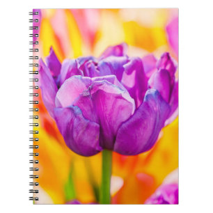 Carnet Tulips Enchanting 06