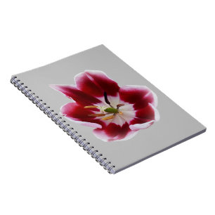Carnet Tutelle rouge profonde