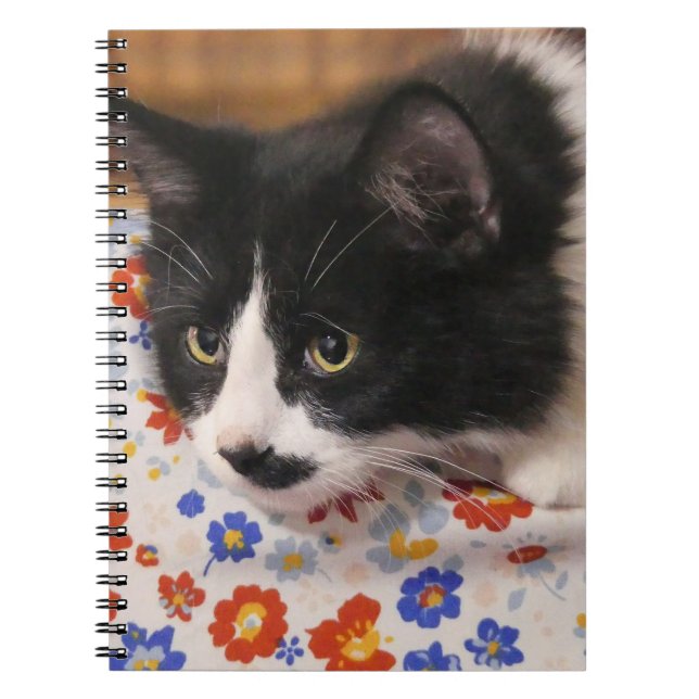 Carnet Tuxedo (Devant)