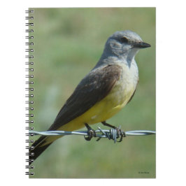 Carnet Tyran à tête grise