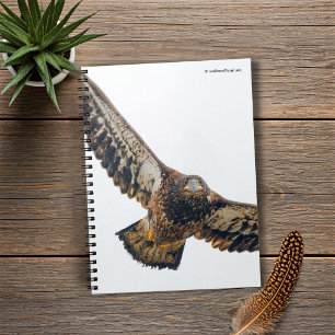Carnet Un aigle à tête blanche étonnant fait un survol