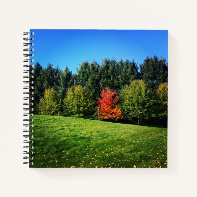 Carnet Un arbre rouge (Devant)