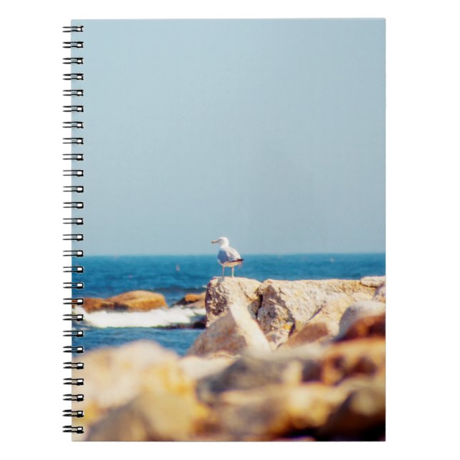 Carnet Un billet de Gull (Devant)