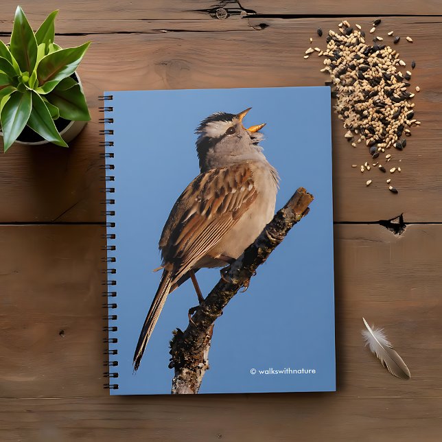 Carnet Un Bruant à tête blanche chante au soleil (White-Crowned Sparrow Sings to the Sun Journal Cover Photo)