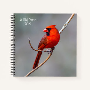 Carnet Un Cardinal Spiral Notebook, un grand anniversaire