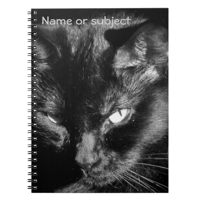 Carnet Un chat noir vous regarde (Devant)