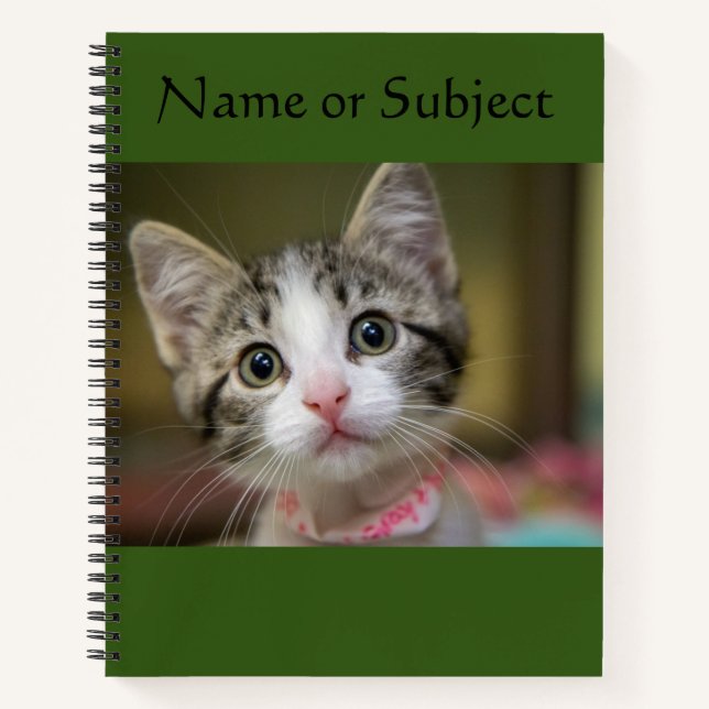 Carnet Un chaton mignon aux yeux verts (Devant)