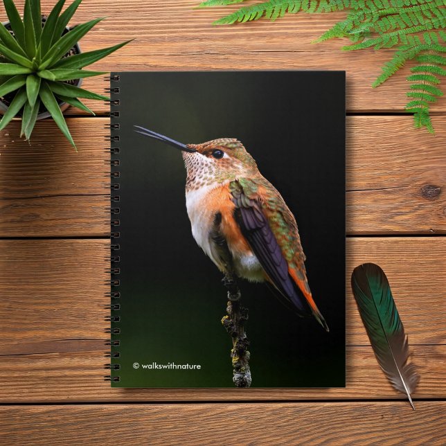 Carnet Un colibri roux doux Poses sur l'arbre fruitier (Rufous Hummingbird Poses on the Hybrid Fruit Tree Journal Cover Photo 1)